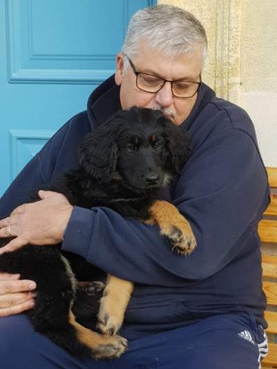 Éducopoil33 - éducateur comportementaliste canin en Gironde passion